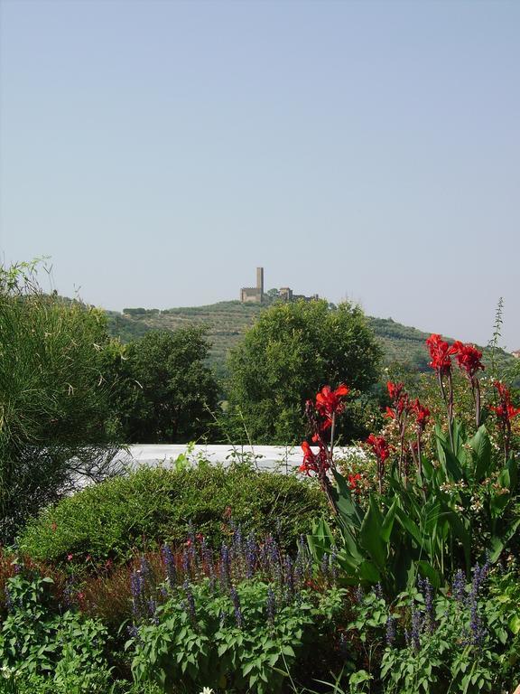 Вілла Il Belvedere Di Roccavo Кастільон-Фйорентіно Екстер'єр фото